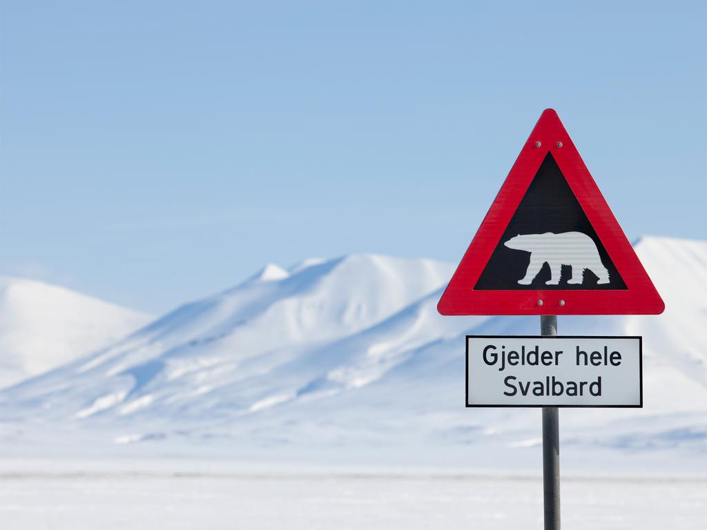 Svalbard Skimarathon